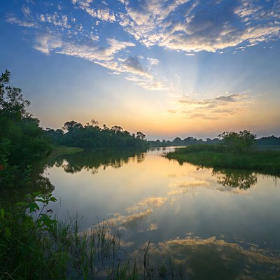 Sunrise over reflective river with reeds
