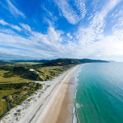Aerial View of Coastal Beach and Dunes