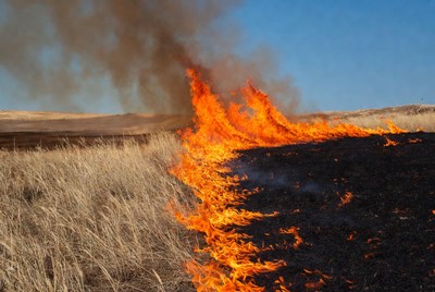 Grassland wildfire burning dry field