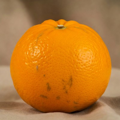 Fresh orange on beige background