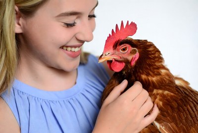 Girl holding red hen