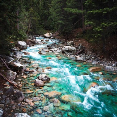 Turquoise River Flowing Through Forest