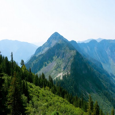 Majestic Mountain Peak with Forests