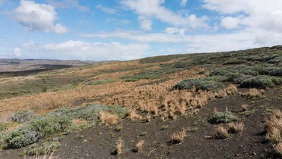 Grassy Hillside Landscape Under Blue Sky