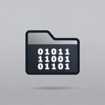 Binary Code Folder Icon