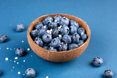 Blueberries in Coconut Bowl