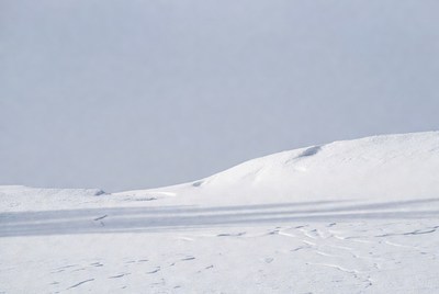 Snowy Landscape with Dunes