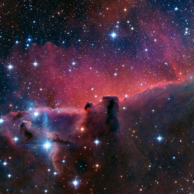 Horsehead Nebula in Orion