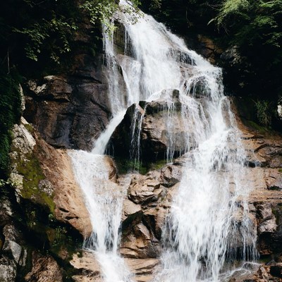 Cascading Waterfall in Lush Forest