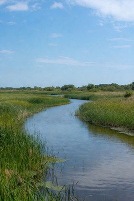 Winding river through green marsh