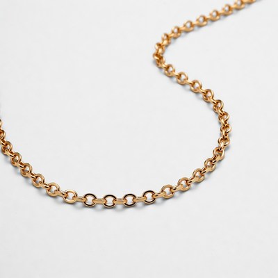 Gold Chain Necklace on White Background