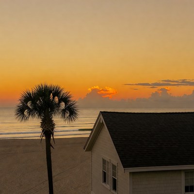Palm Tree at Beach Sunset