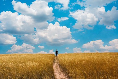 Man walking path in golden wheat field