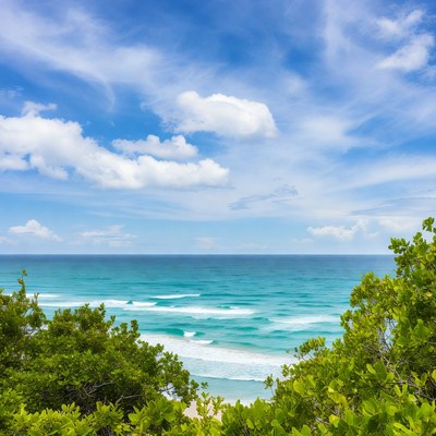 Ocean view through green bushes