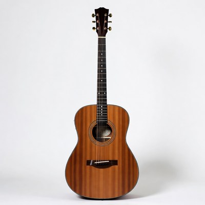 Acoustic Guitar on White Background