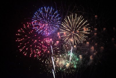 Colorful Fireworks Exploding in Night Sky