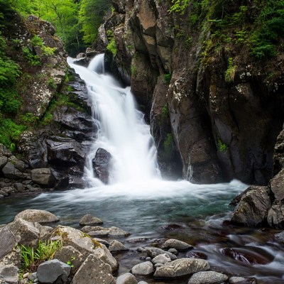 Waterfall cascading in lush green gorge