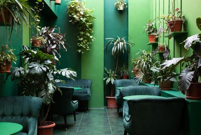 Green Plant-Filled Lounge with Velvet Chairs