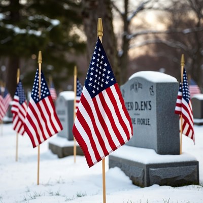 American Flags on Snowy Graves