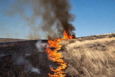 Grassland wildfire burning dry hills