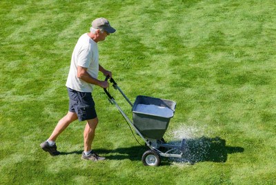 Man pushing lawn spreader on grass