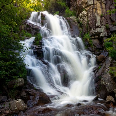 Waterfall cascading in lush forest