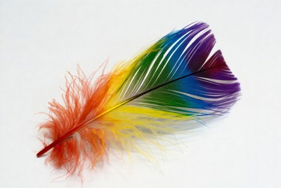 Colorful Rainbow Feather on White