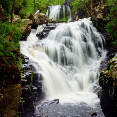 Majestic waterfall cascading in lush forest