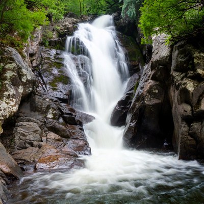 Waterfall cascading in lush forest