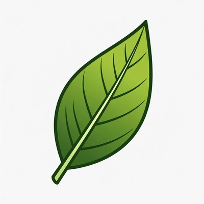 Green Leaf Clipart
