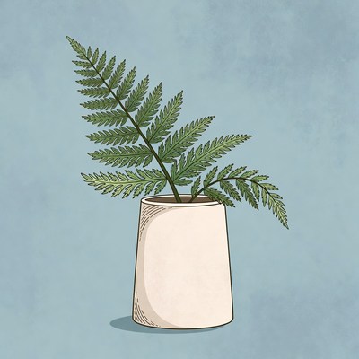 Fern Plant in White Pot