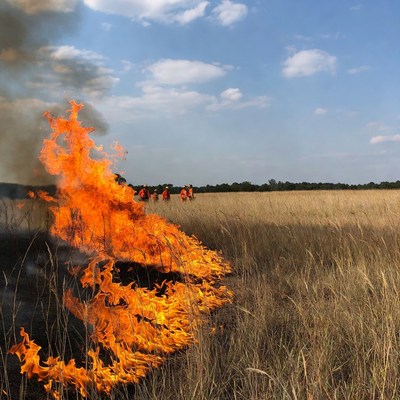 Firefighters battling grass fire in field