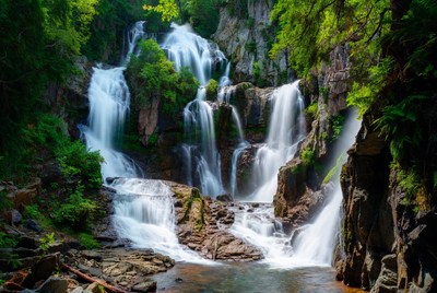 Majestic waterfall cascading in lush green forest