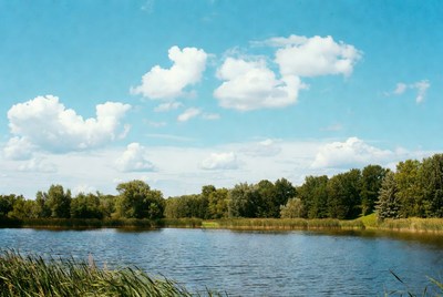 Serene lake with trees and clouds