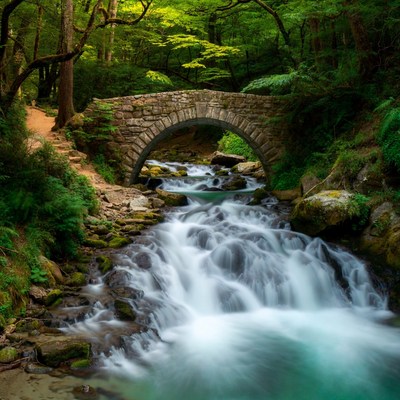 Stone Arch Bridge over Forest Waterfall