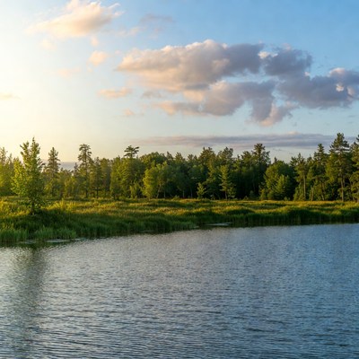 Forest Lake at Sunset