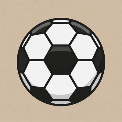 Black and White Soccer Ball