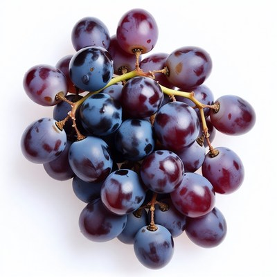 Bunch of Purple Grapes