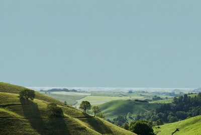 Green Rolling Hills Landscape