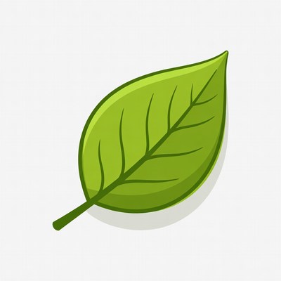 Green Leaf Illustration