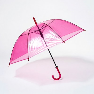 Pink Transparent Umbrella on White