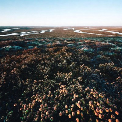 Aerial view of winding river delta