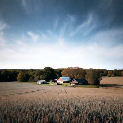 Red Barn Farmhouses in Wheat Field