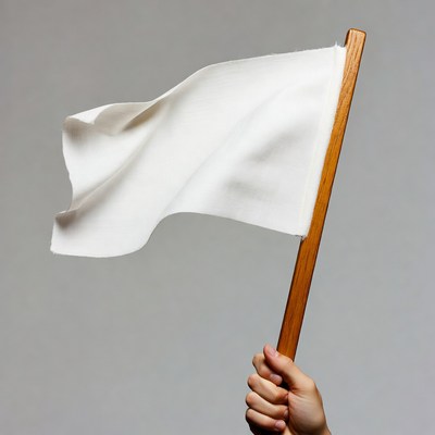 Hand holding white flag on pole