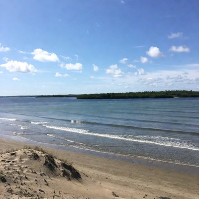 Sandy Beach with Mangrove Shoreline