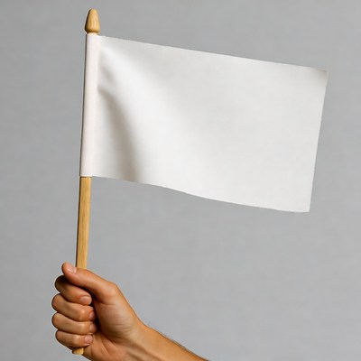 Man holding blank flag