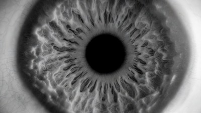 Close-up Human Eye Iris