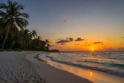 Tropical Beach Sunset with Palm Trees