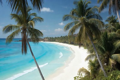 Tropical beach with palm trees