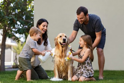 Family washing golden retriever dog